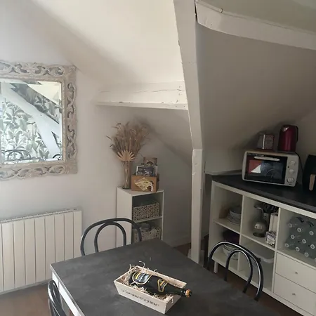 Apartment Ambiance Cosy Avec Jardin Privatif Nassandres