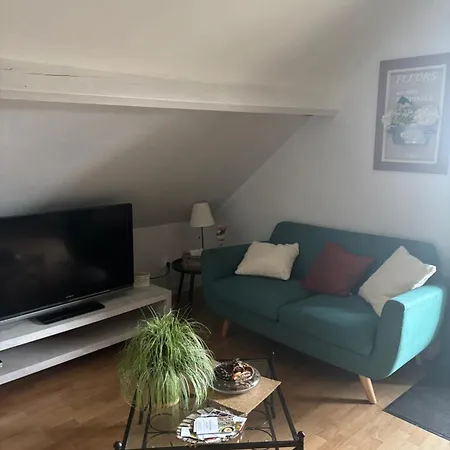 Ambiance Cosy Avec Jardin Privatif Nassandres